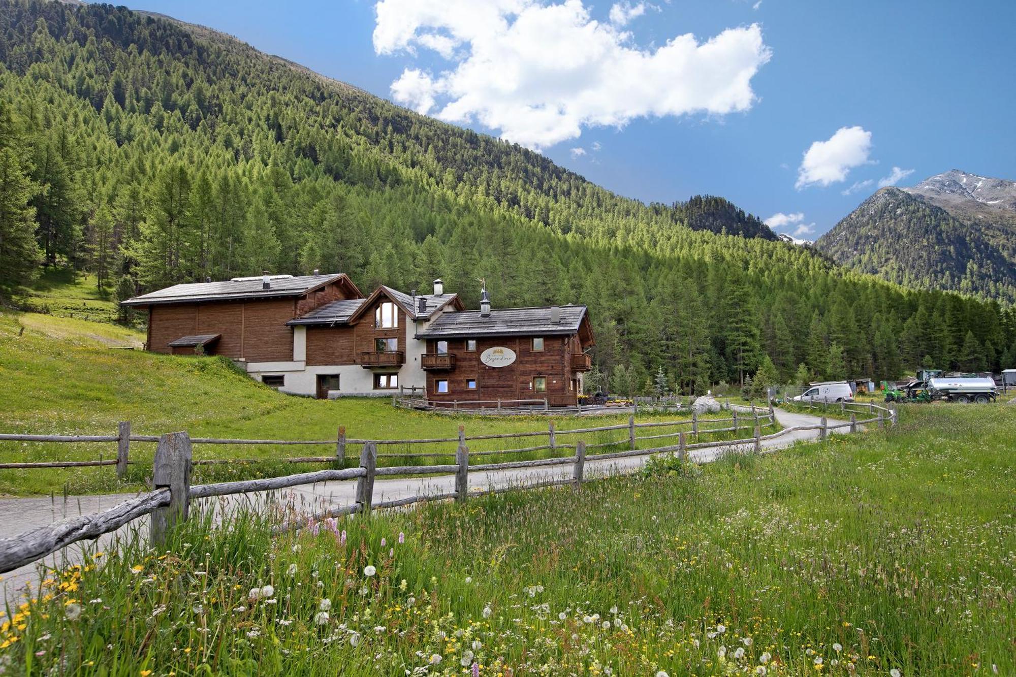 Agriturismo Bosco D'Oro 1 Daire Livigno Dış mekan fotoğraf